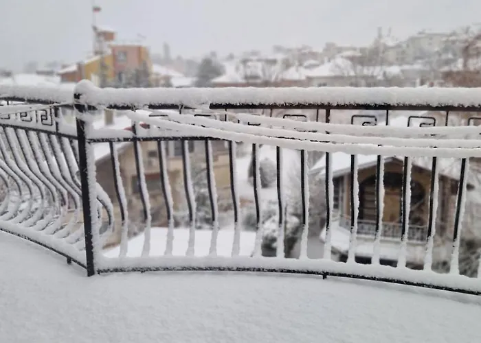 Housedenz 招待所 3*